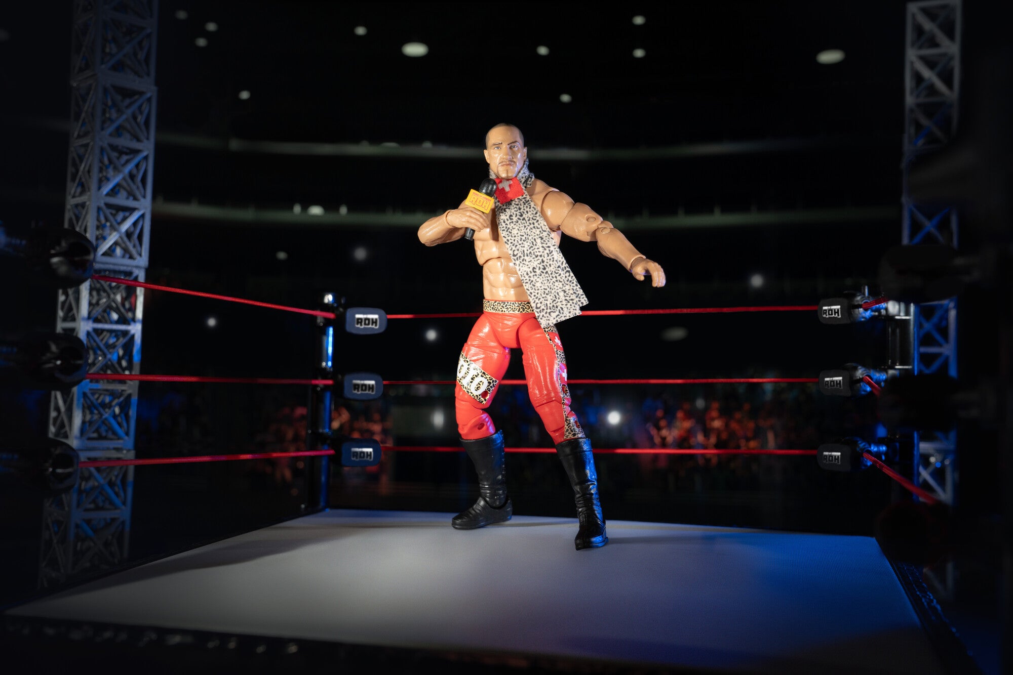 Ring of Honor Claudio Castagnoli - Image 10