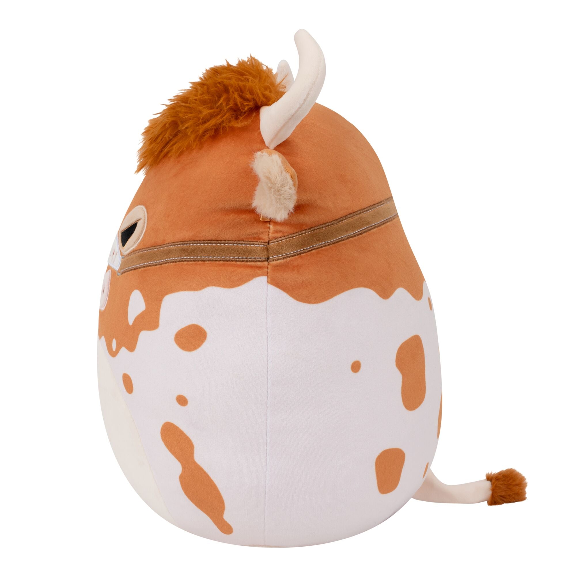 University of Texas 12-Inch Bevo XV - Image 4