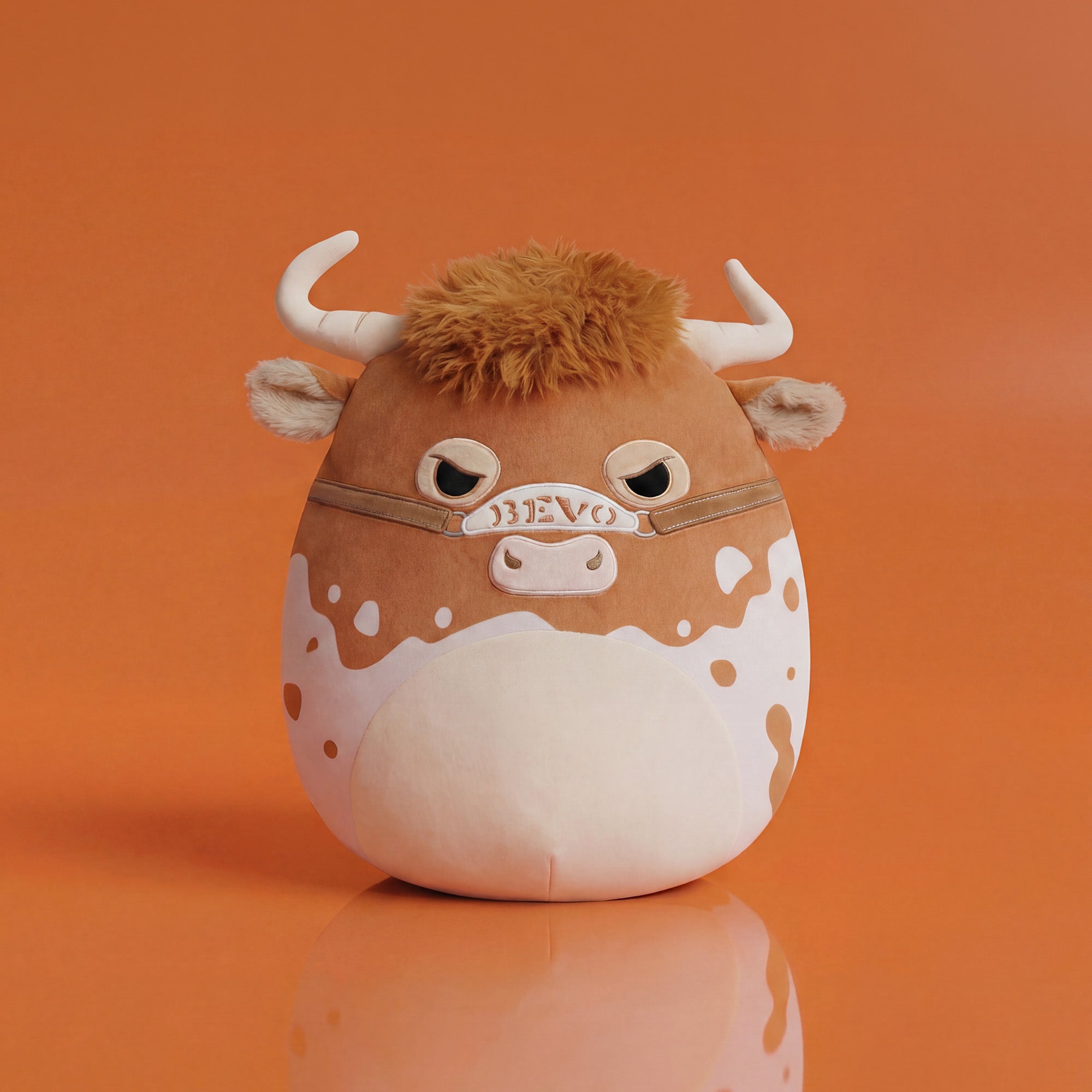 University of Texas 12-Inch Bevo XV - Image 2